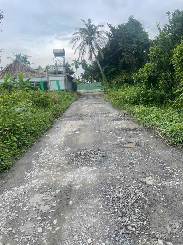 LÔ ĐẤT GÓC 2MT NHỊ BÌNH (ĐÔNG THẠNH), HÓC MÔN GẦN SÔNG SG, PHÀ AN SƠN CHỈ 14,5 TỶ