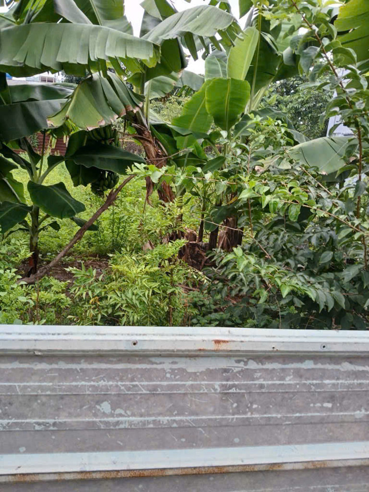 Bán gấp đất thổ cư Hà Huy Giáp, Thạnh Lộc, Quận 12: 120m2, sổ hồng riêng, giá chỉ nhỉnh 5tỷ - vị