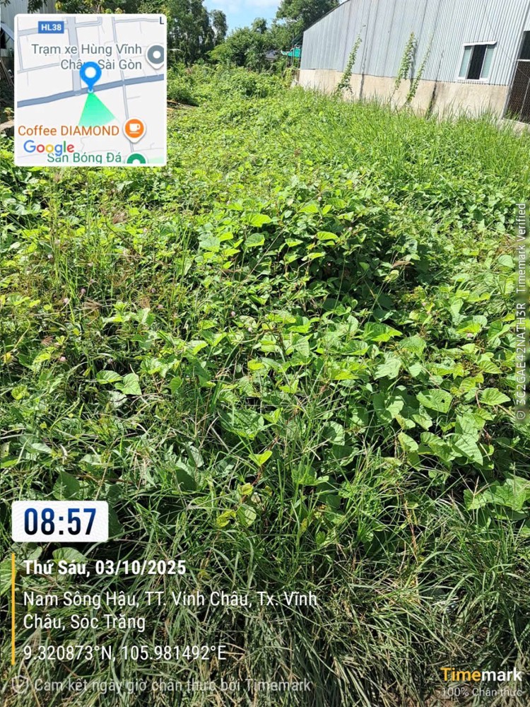 Chính CHủ CẦN BÁN 2 LÔ ĐẤT  Tại Phường 1 & 2, Thị Xã Vĩnh Châu, Sóc Trăng