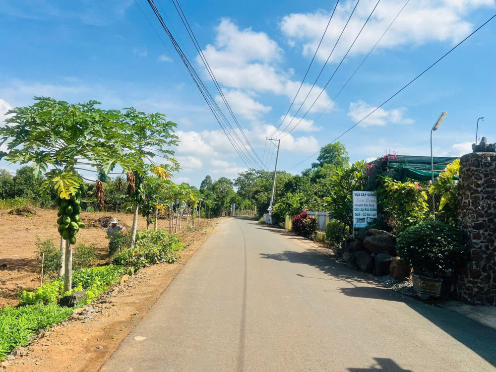 1000m . Có 80 thổ cư . Ngang 11 sâu 83 2mt trước sau