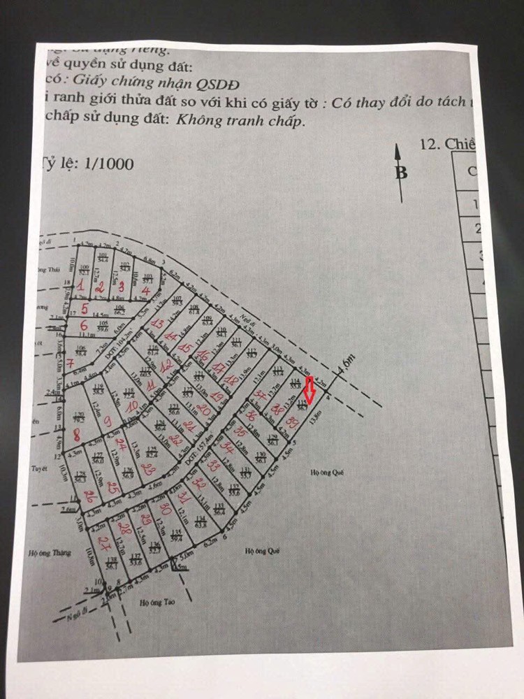 GIÁ HIẾM 7XX TRIỆU – LÔ ĐẸP BÀNG LA ĐỒ SƠN – NGÕ 4.2M – ZALO 0567 222 555