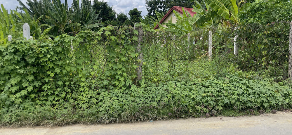 Diên An Ngang 9m Gần Như Full Thổ Cư Mặt Tiền Đường Bà Đội đường đẹp dân đông
Chủ cần bán Lô Đất