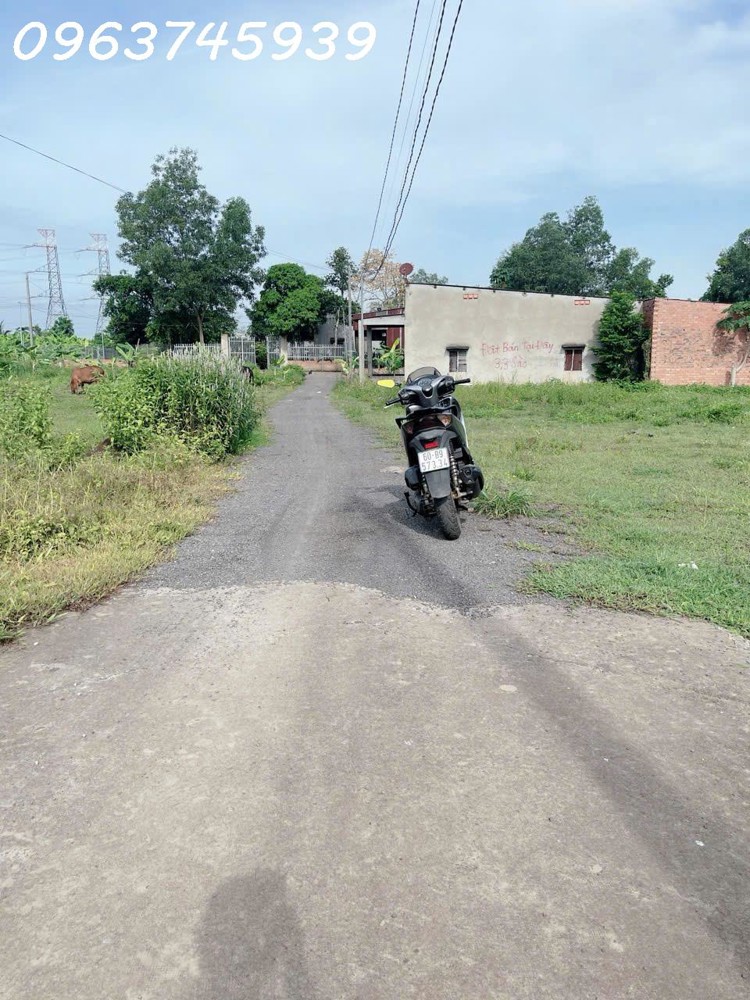 Cơ hội đầu tư: 2065m2 Đất Đồng Nai, MT 37m Khổng Lồ, Giá 2 Tỷ xx, Tiềm năng Lớn