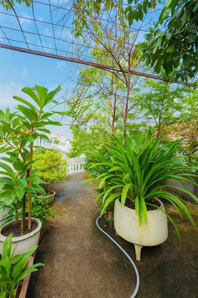 Bán nhà mặt tiền P6, Tân Bình – gần Bắc Hải – Chấn Hưng – 110m² – 5 tầng – ngang 4.5m nở