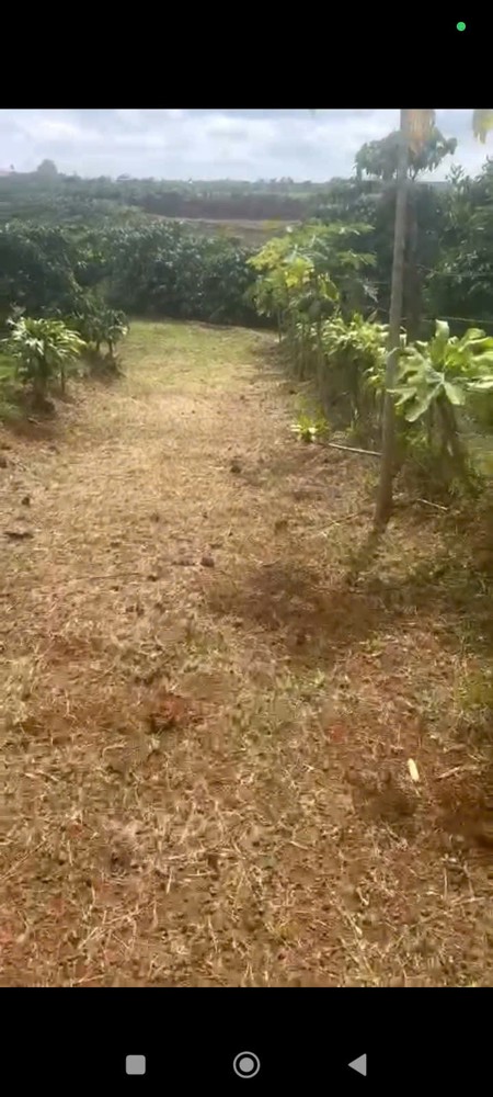 ĐẤT ĐẸP – GIÁ TỐT – CHÍNH CHỦ  CẦN BÁN  NHANH  LÔ ĐẤT  TẠI thôn 5 ,Tân Lâm, Di Linh, Lâm Đồng