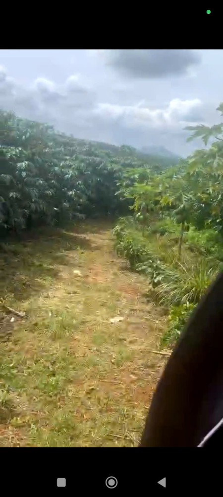 ĐẤT ĐẸP – GIÁ TỐT – CHÍNH CHỦ  CẦN BÁN  NHANH  LÔ ĐẤT  TẠI thôn 5 ,Tân Lâm, Di Linh, Lâm Đồng