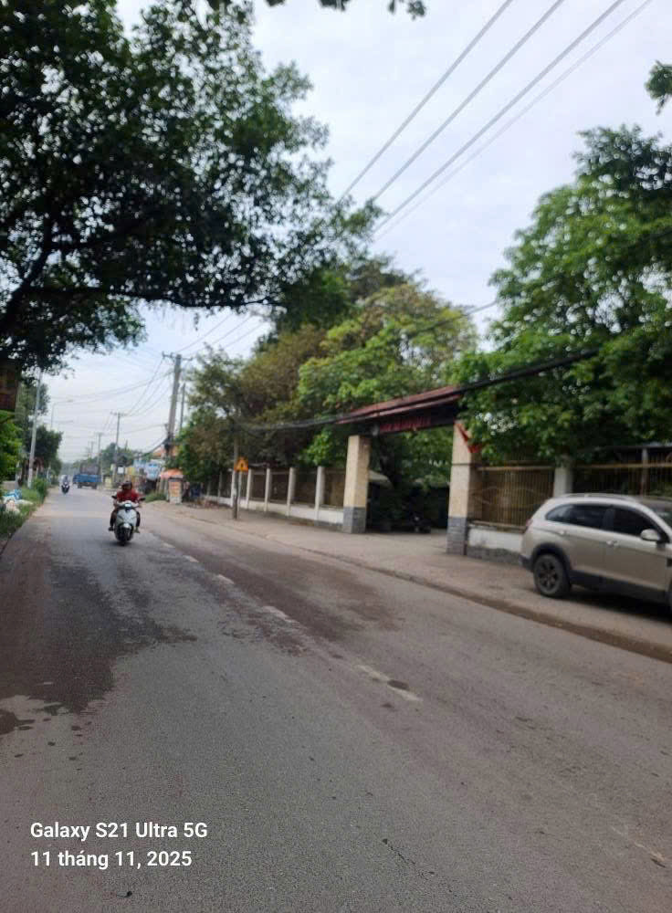 HÀNG HIẾM ĐÔNG THẠNH – NHÀ XƯỞNG MẶT TIỀN NGUYỄN THỊ MƯỜI (ĐT5 CŨ) – VỊ TRÍ VIP