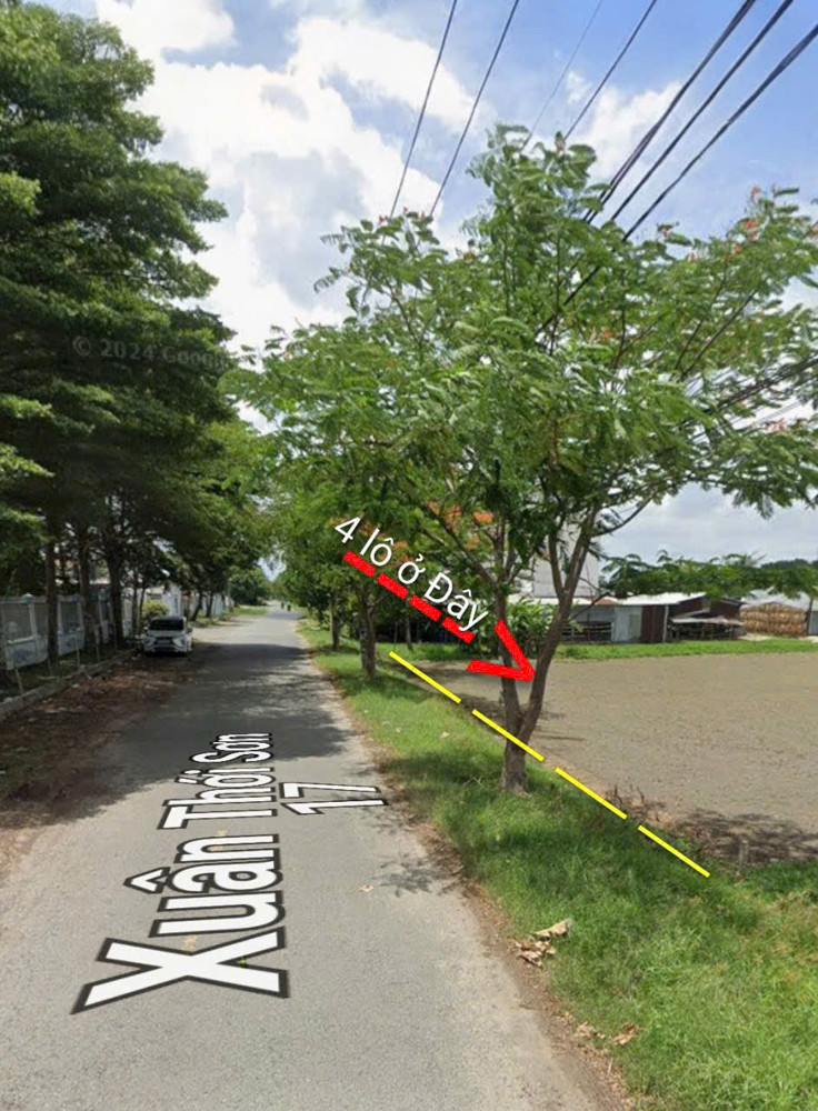 CCG BÁN 4 LÔ ĐẤT LÚA MẶT TIỀN NHỰA – ĐƯỜNG XUÂN THỚI SƠN 17, HÓC MÔN