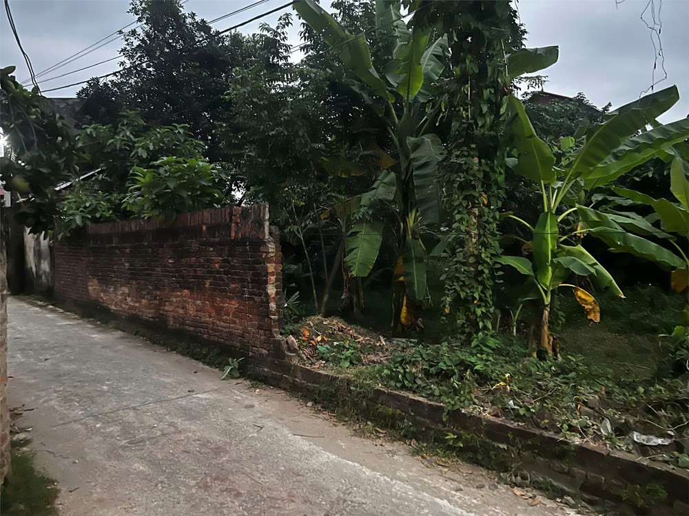 ĐẤT ĐẸP - GIÁ TỐT - CHÍNH CHỦ CẦN BÁN NHANH  Lô Đất Vị Trí Đắc Địa Hậu Sơn Hoài, Tân Minh, Sóc Sơn