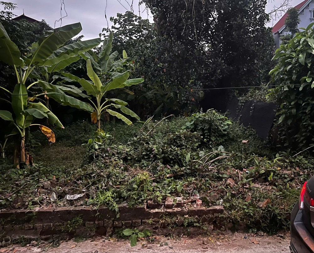 ĐẤT ĐẸP - GIÁ TỐT - CHÍNH CHỦ CẦN BÁN NHANH  Lô Đất Vị Trí Đắc Địa Hậu Sơn Hoài, Tân Minh, Sóc Sơn