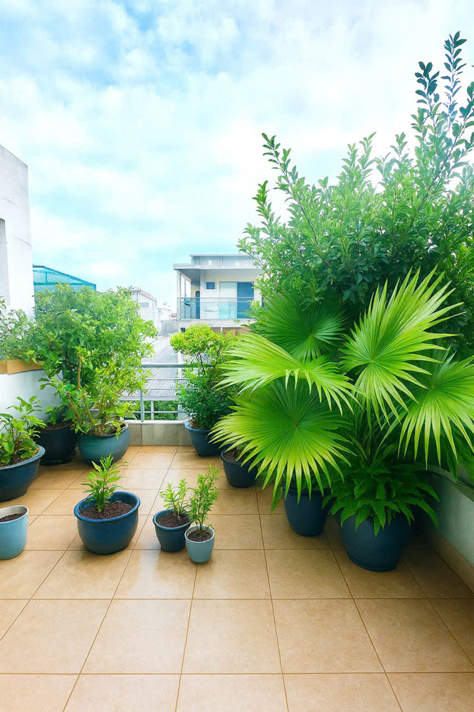 MẶT TIỀN 10M – VÕ THÀNH TRANG – BẢY HIỀN – TÂN BÌNH – 120M² – NỞ HẬU