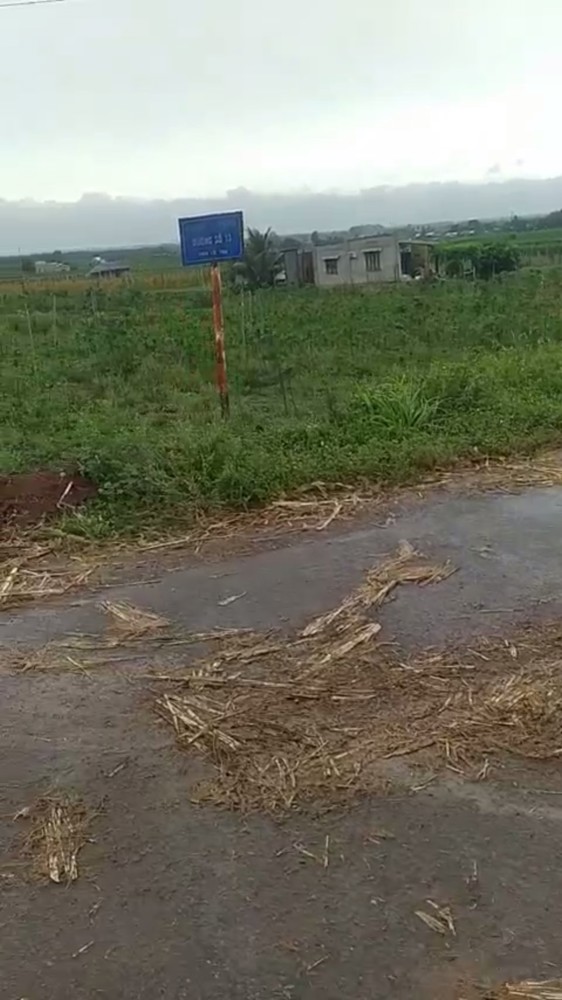 ĐẤT CHÍNH CHỦ - GIÁ TỐT - Mặt Tiền Đường Trần Phú Xã Thạnh Tân, Tây Ninh