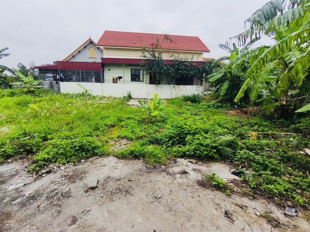 GIÁ HIẾM – LÔ ĐẸP VŨ VỊ MINH TÂN, NGÕ Ô TÔ  ZALO 0567 222 555