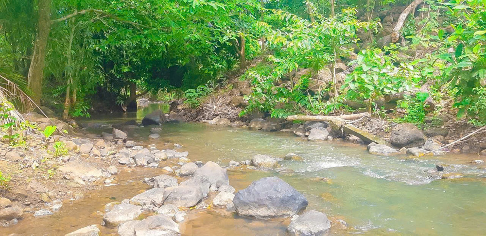 ANH CHỊ CẦN  Đất VƯỜN VIEW SUỐI NGHĨ DƯỠNG 

⛔ Vị Trí lô Đất Thuộc Xã Bầu Lâm - Thành Phố Hồ Chí