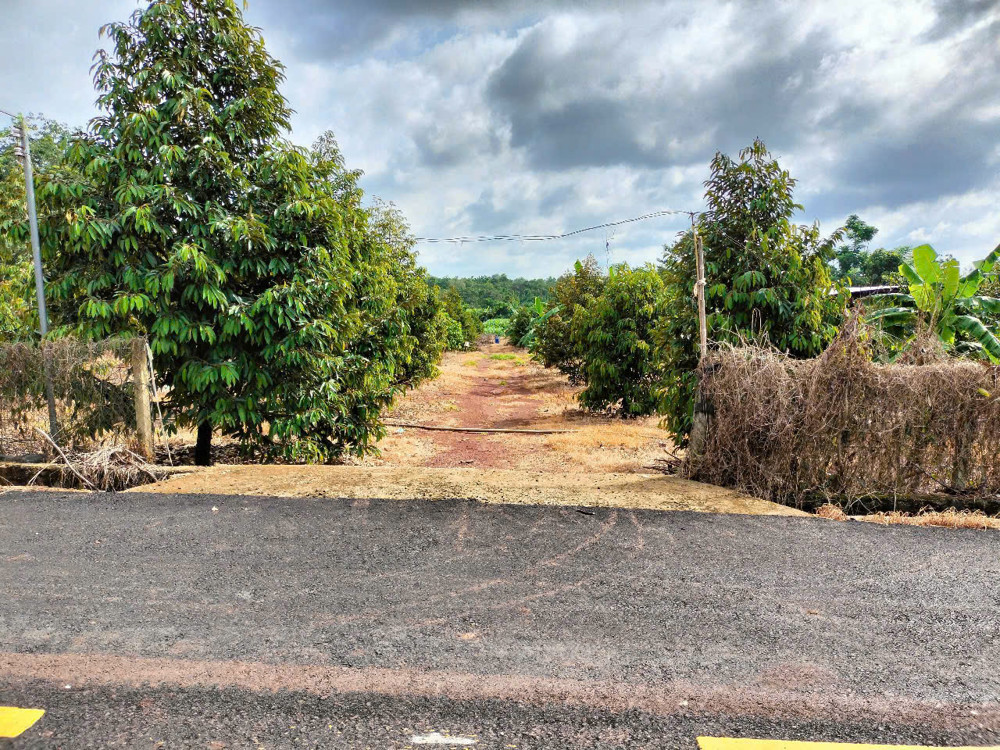 ANH CHỊ CẦN  Đất VƯỜN VIEW SUỐI NGHĨ DƯỠNG 

⛔ Vị Trí lô Đất Thuộc Xã Bầu Lâm - Thành Phố Hồ Chí