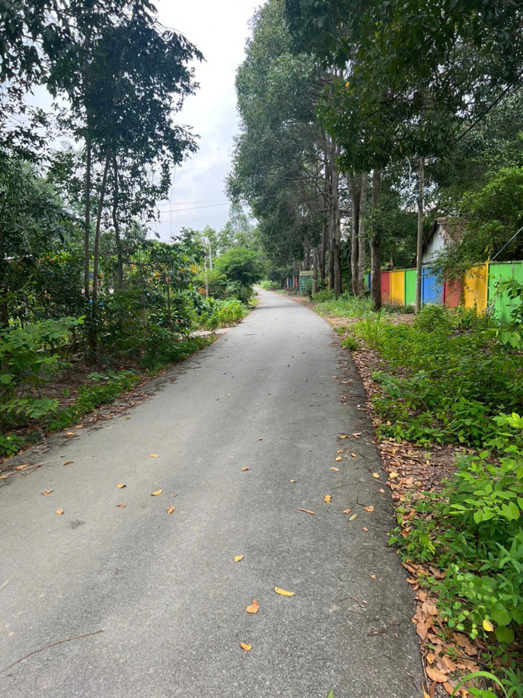 BÁN GẤP KHU DU LỊCH SINH THÁI VƯỜN ĐANG HOẠT ĐỘNG MT NHỰA CỦ CHI GIÁ TỐT