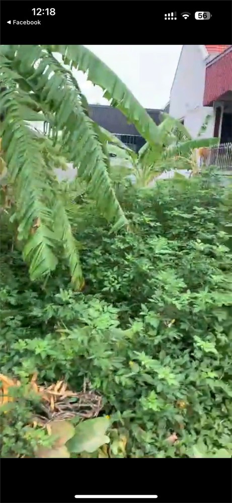 Lô mặt đường 9m – cạnh TĐC Đoàn Xá 4ha – giá hiếm!  Giá 2.5xx tỷ  ZALO 0567 222 555