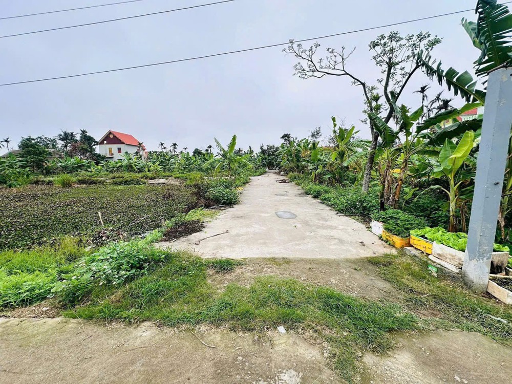 Lô đất 4m ngõ ô tô – giá hiếm dưới 1 tỷ tại Hợp Đức  Giá 9xx triệu  ZALO 0567 222 555