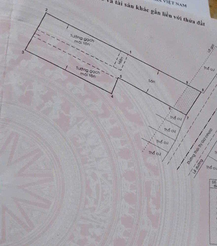 CC GỬI GẤP BÁN NHÀ (8.4x45) MẶT TIỀN THÁI THỊ GIỮ, XÃ BÀ ĐIỂM, HÓC MÔN