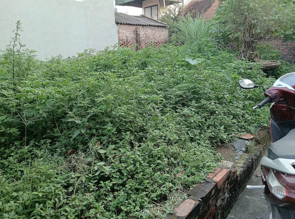 CC EM CẦN TIỀN MUỐN LÔ ĐẤT Ở HIỆP THẬN PHÚC THỌ.
DIỆN TÍCH 42M - MẶT -HẬU 4M NHƯ NHAU,
CÁCH ĐƯỜNG