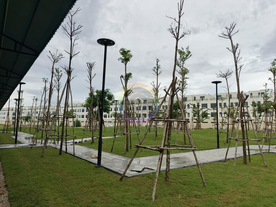 Bán đất dự án trả góp không lãi suất,đất đẹp ở mặt tiền QL19 Quy Nhơn Giá chỉ từ 2,2 tỷ/lô diện