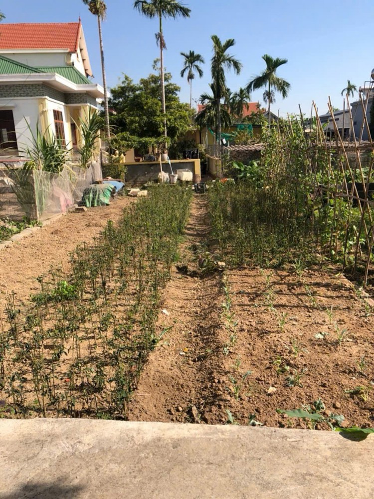 Lô 89,6m² trung tâm Tú Sơn – giá hiếm 1,x tỷ, ngõ ô tô vào  ZALO 0567 222 555