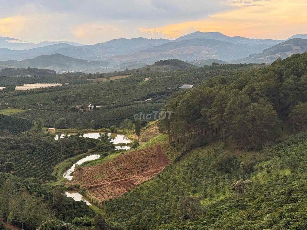 Cần thanh lý lô đất chính chủ giá 450tr