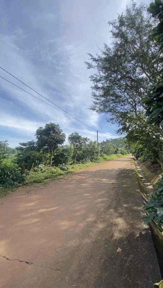 Cần thanh lý lô đất chính chủ giá 450tr