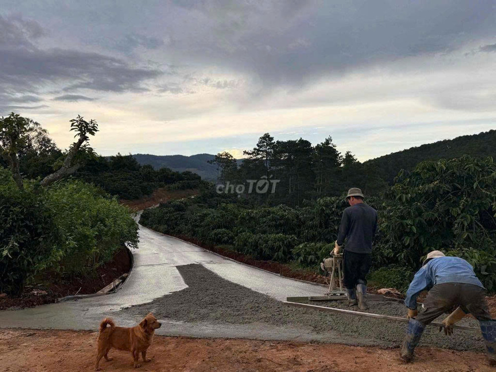 Cần thanh lý lô đất chính chủ giá 450tr