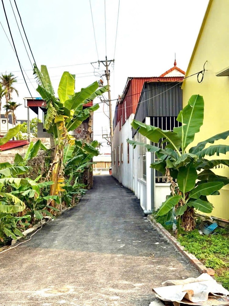 Lô 61,5m² giá F0 duy nhất tại Trung Nghĩa – Đồ Sơn chỉ hơn 6xx triệu  ZALO 0567 222 555