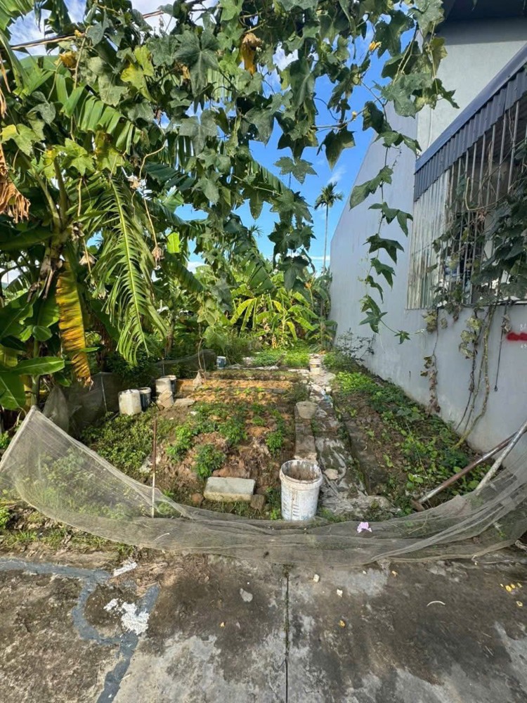 GIÁ HIẾM – ĐẤT THỔ CƯ NGÕ 82 HÒA NGHĨA – ZALO 0567 222 555