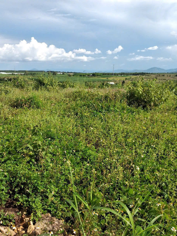 CHÍNH CHỦ BÁN GẤP LÔ ĐẤT NGỘP TẠI IA RONG , CHƯ PƯH , GIA LAI