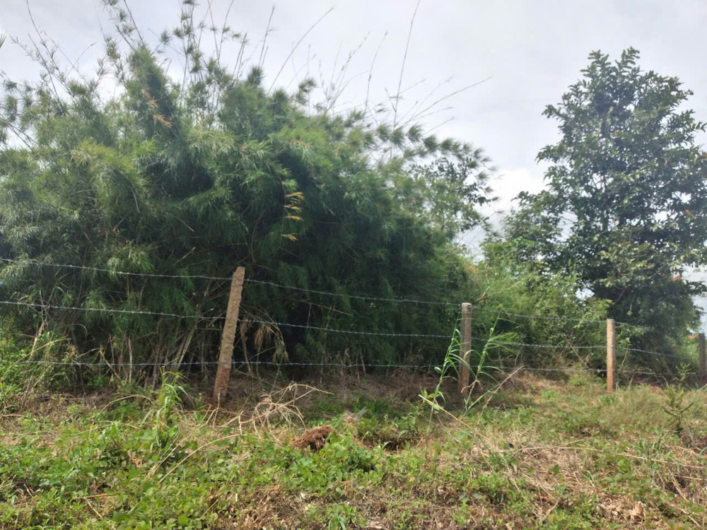 CHÍNH CHỦ BÁN GẤP LÔ ĐẤT NGỘP TẠI IA RONG , CHƯ PƯH , GIA LAI