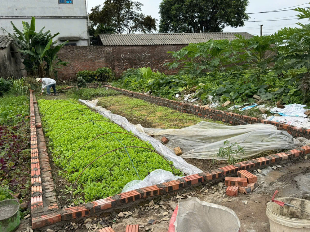 52,2m thôn Xuân Nộn - Đông Anh