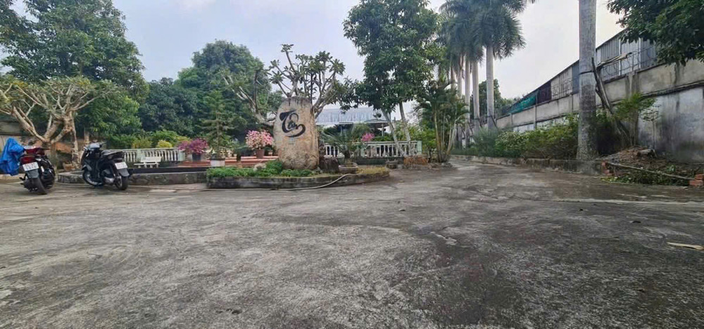 ĐẤT (30x80) MẶT TIỀN NHỊ BÌNH 16, XÃ NHỊ BÌNH, HÓC MÔN - DIỆN TÍCH KHỦNG