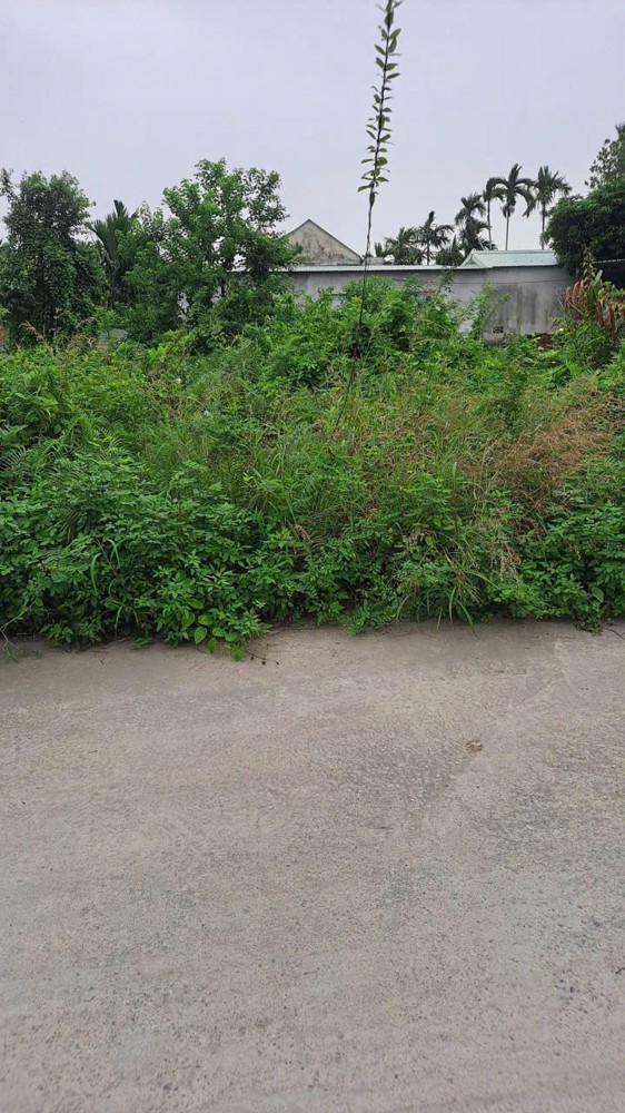 GIÁ HIẾM – LÔ ĐẸP QUYẾT TIẾN 2 – NGÕ THÔNG 4–6M Ô TÔ TRÁNH – ZALO 0567 222 555