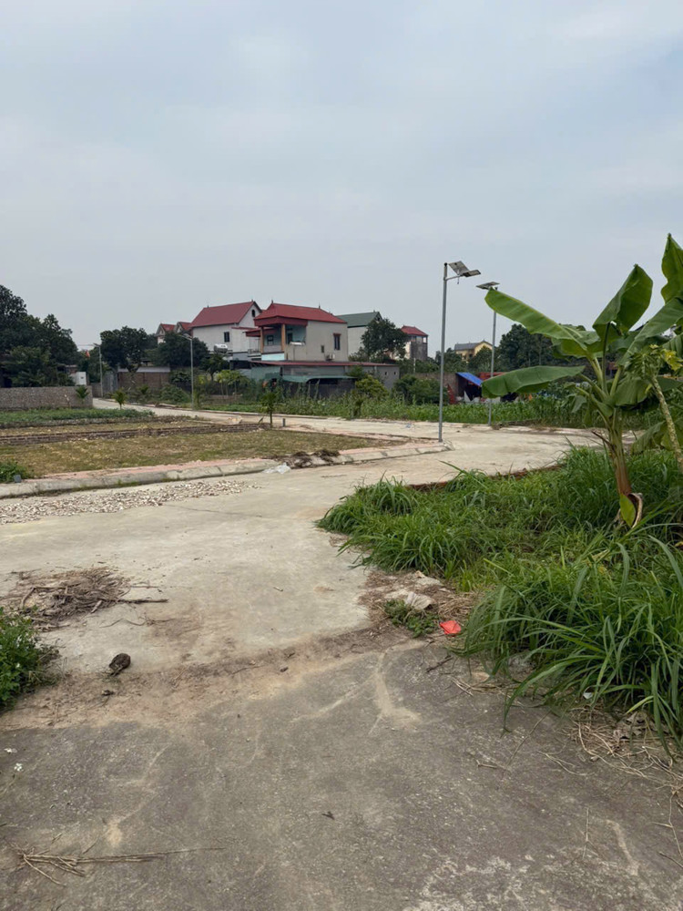 BÁN ĐẤT MINH PHÚ- SÓC SƠN NGÕ Ô TÔ QUA 81 M2 MẶT TIỀN 5M X 1.77 tỷ