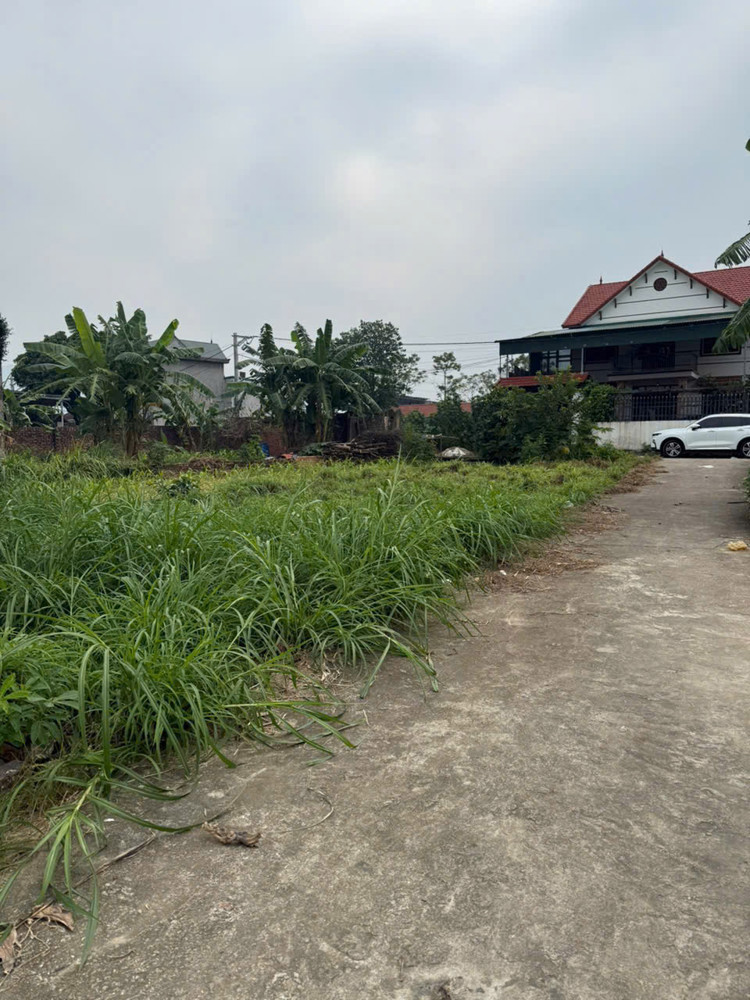 BÁN ĐẤT MINH PHÚ- SÓC SƠN NGÕ Ô TÔ QUA 81 M2 MẶT TIỀN 5M X 1.77 tỷ