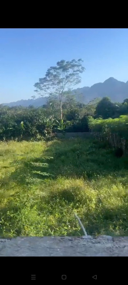 Đất Đẹp – Giá Đầu Tư - Chính Chủ Bán Đất Vị Trí Đẹp Tại Xã Lỗ Sơn, Huyện Tân Lạc, Tỉnh Hòa Bình