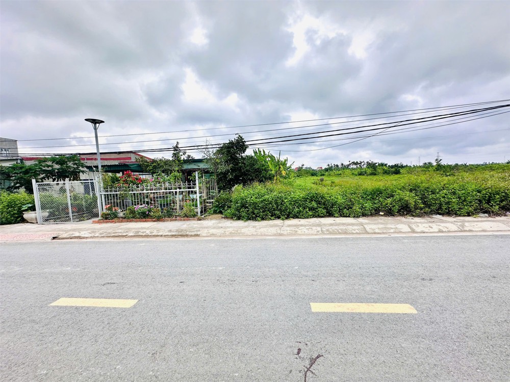 Lô 149.8m² giá hiếm 2.6x tỷ – mặt đường Quyết Tiến Đồ Sơn ZALO 0567 222 555