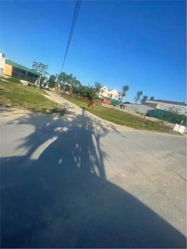 HOT HOT - CẦN BÁN LÔ ĐẤT VỊ TRÍ ĐẸP  TẠI khối 8 xã nghi phong,huyện Nghi Lộc, tỉnh Nghệ An