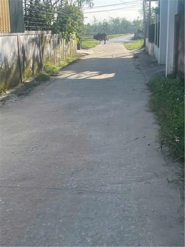 HOT HOT - CẦN BÁN LÔ ĐẤT VỊ TRÍ ĐẸP  TẠI khối 8 xã nghi phong,huyện Nghi Lộc, tỉnh Nghệ An