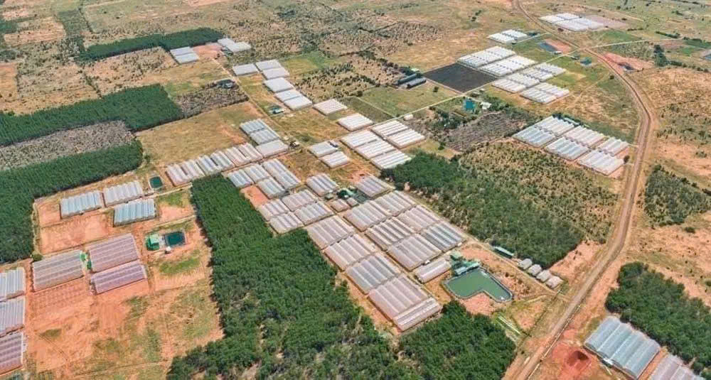 Chính Chủ Bán Lô Đất Đẹp – Gần 5 Ha + 300M² Thổ Cư – Thôn 2, Xã Hàm Liên, Hàm Thuận Bắc, Bình Thuận