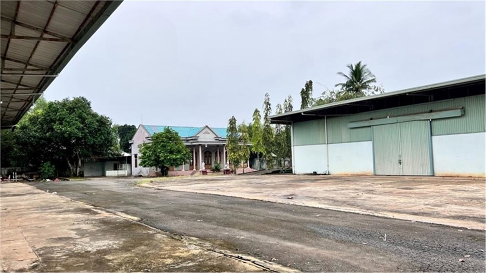 XT649 Nhà Xưởng Cho Thuê SX ngoài KCN, tiếp cận đa dạng ngành nghề, trống xưởng