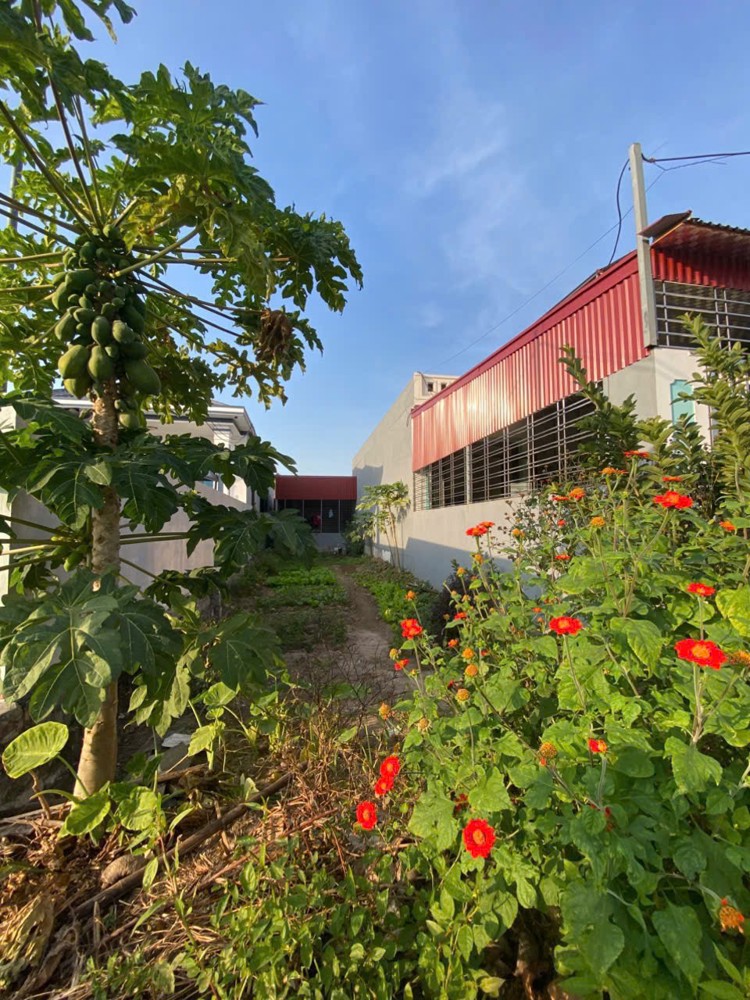 Lô 100m² trục thôn Minh Tân – mặt đường 8m, gần GA – giá hiếm 2,5x tỷ  ZALO 0567 222 555