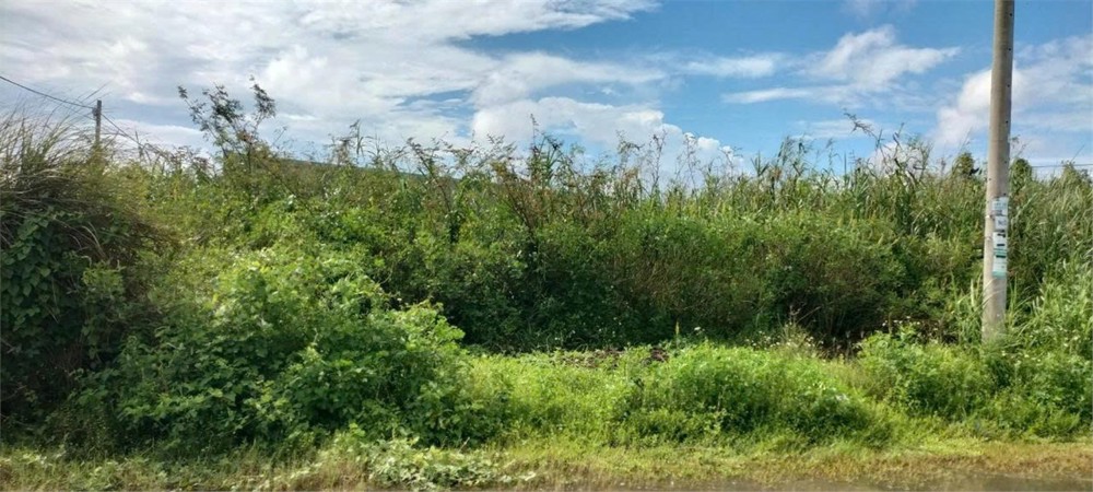 Đất Chính Chủ - Khu Dân Cư Vạn Phát Ấp Tân Phú A, Tt Cái Tắc, Huyện Châu Thành A, Hậu Giang