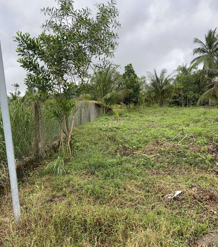 ĐẤT CHÍNH CHỦ - SỔ HỒNG RIÊNG - Bán ĐẤT KHU DU LỊCH SUỐI MƠ - ĐỒNG NAI