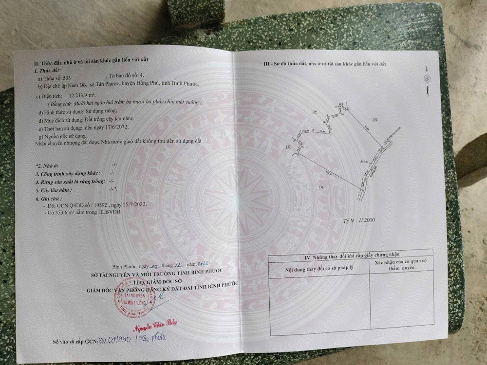 CHÍNH CHỦ CẦN BÁN 1 MẪU 2 ĐẤT VƯỜN ĐIỀU  – SÁT TRỤC ĐƯỜNG ĐT 753 – ĐỒNG PHÚ, BÌNH PHƯỚC