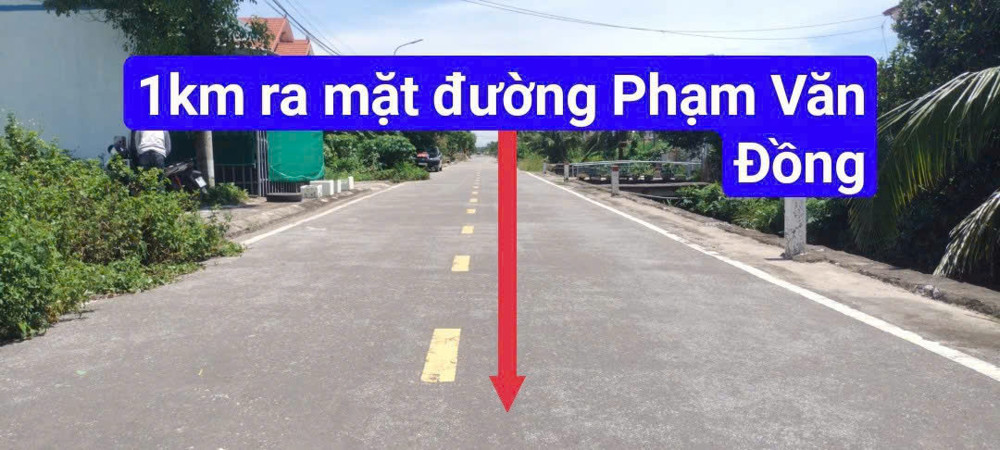 Bán Gấp 300m² Đất Mặt Đường Trung Nghĩa, Đồ Sơn – Giá Rẻ Đầu Tư