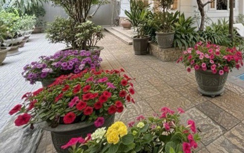 ► Đất 2 Mặt tiền ngay Phan Thành Tài, đi bộ ra Bạch Đằng, Cầu Rồng, 200m2, ngang 11.3m